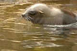 leipzig zoo-01_07_2011_zoo_allgemein_404